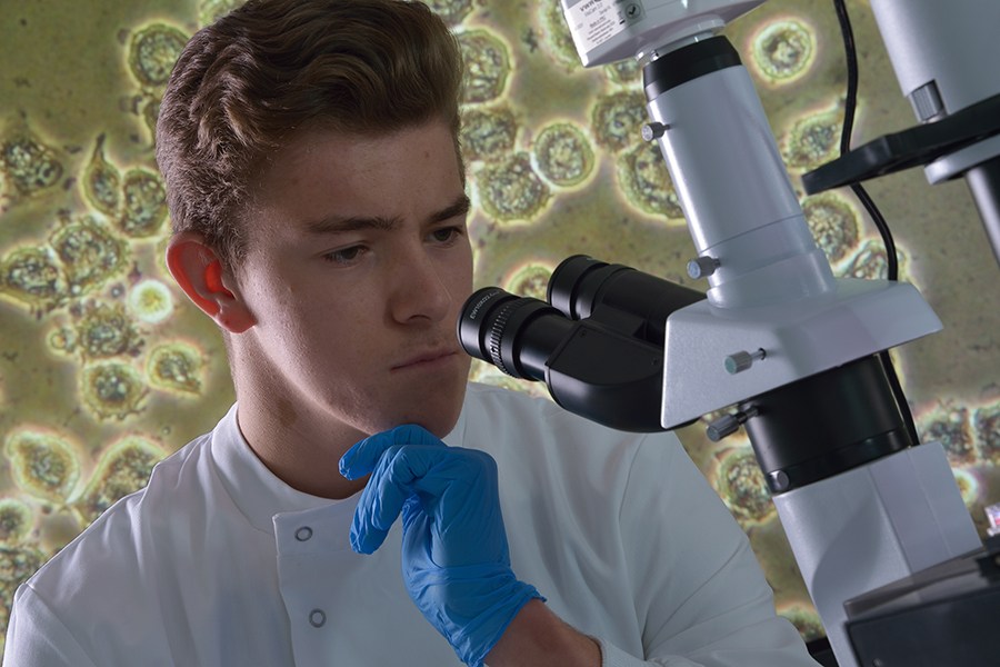 Medical Biology