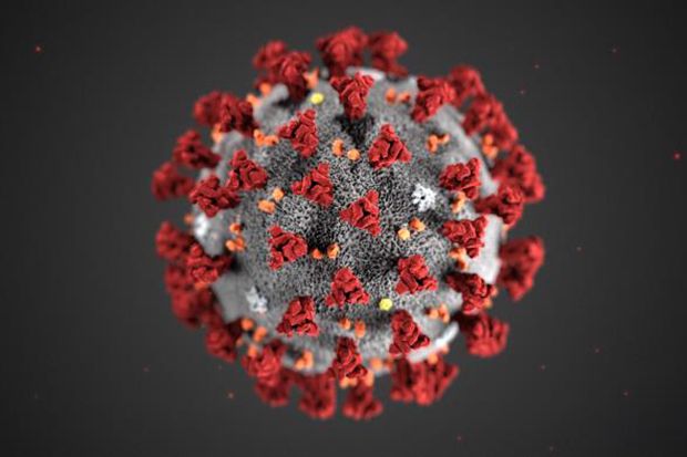 Coronavirus