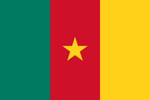 cameroon flag small