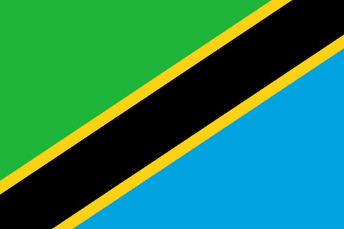 tanzania flag small