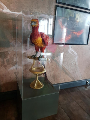 Fawkes on display in the foyer