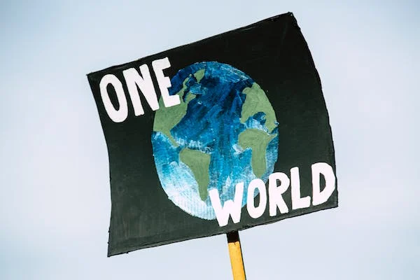 How can engineers help solve environmental problems? 