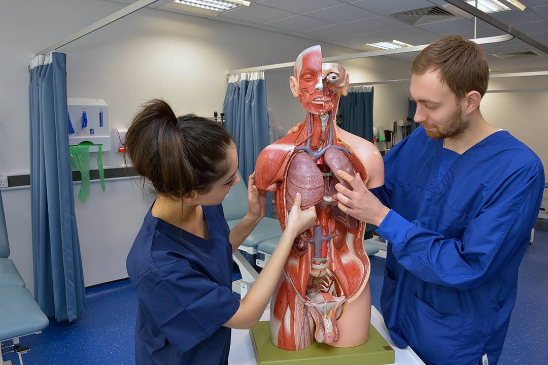 What are the graduate prospects for Biomedical Scientist students? 