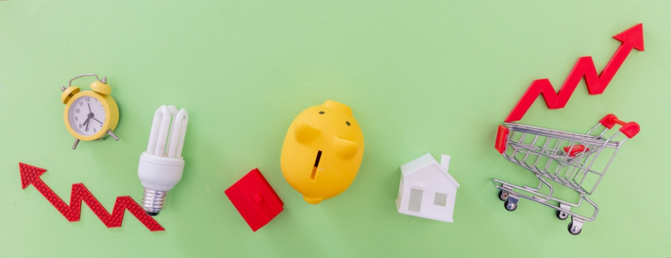 Student Cost of Living Crisis - How to Bite Back