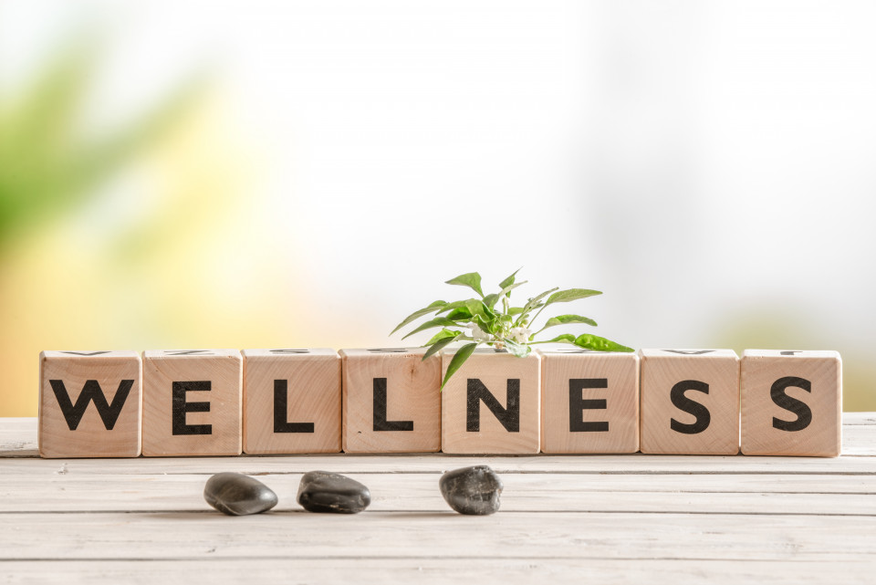 Championing wellness: Joining the health and social care movement 